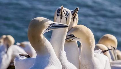 爱游戏体育APP下载-国内职业足球比赛赛程密集紧张，球员们备战全力，中国职业足球联赛有哪些