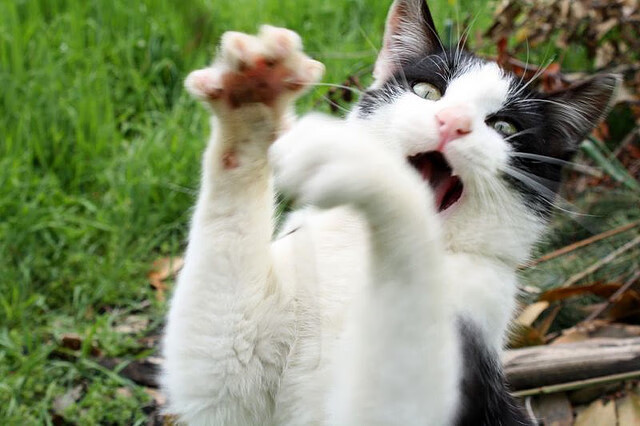 爱游戏app下载-中国足球产业界开启创新创业大赛，足球创新创业计划书