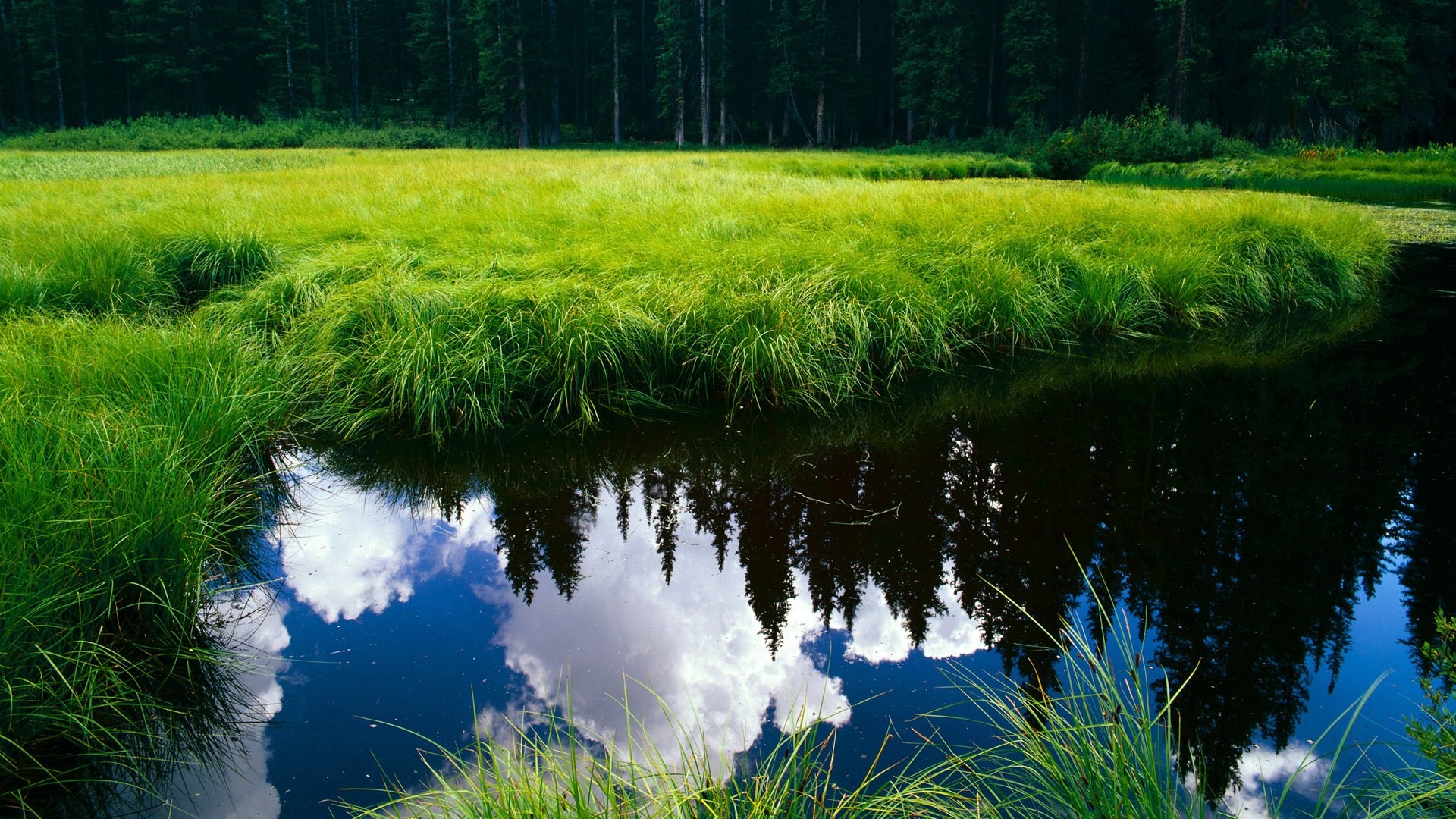 城市火炬跑,点亮全民运动的灯火通明,城市火力