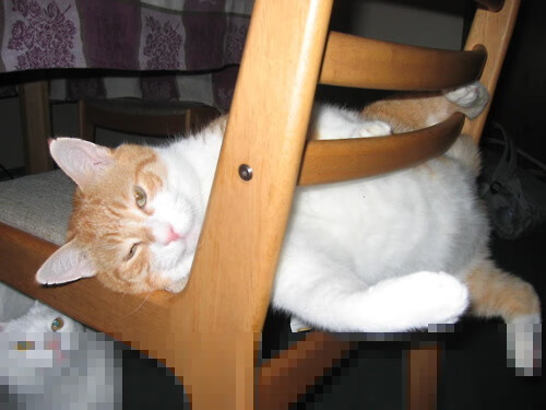 尤文稳守反击:靠紧密防守成功限制对手,尤文尤文