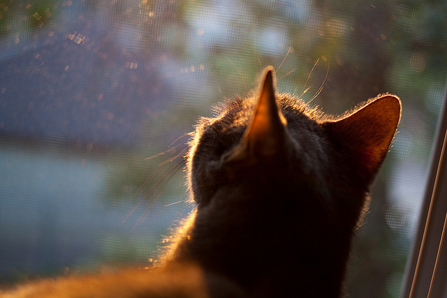 爱游戏体育APP下载-篮板攻防：北京篮板抢得48个，把握比拼主动权，篮板规则