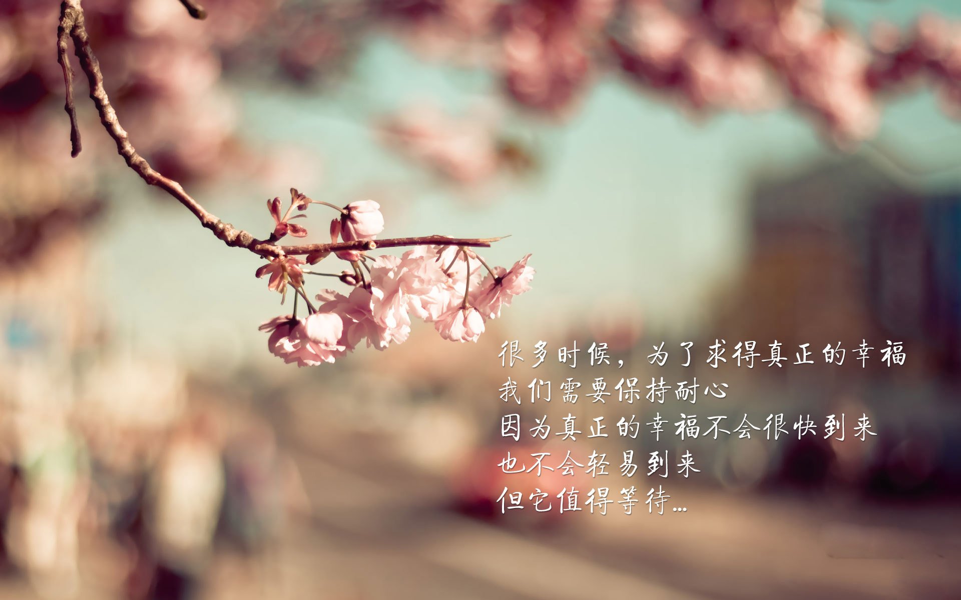 越野摩托车极限赛,挑战荒野的极致体验,越野摩托车比赛