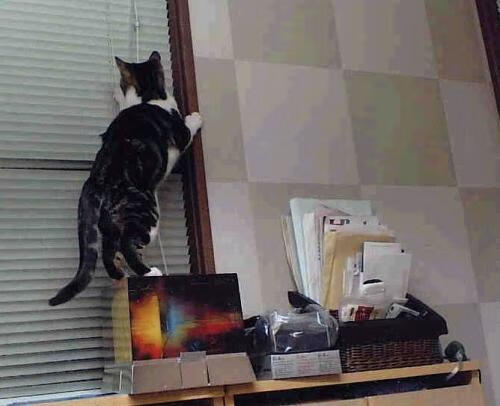 巴塞罗那传控战术再获成功 球队士气高涨，巴塞罗那传球集锦