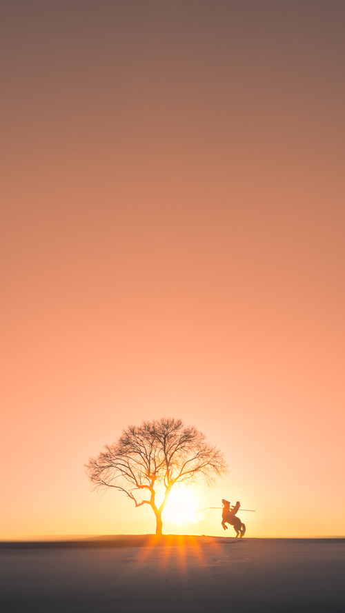 斯图加特球员齐心协力，力争在比赛中取得胜利