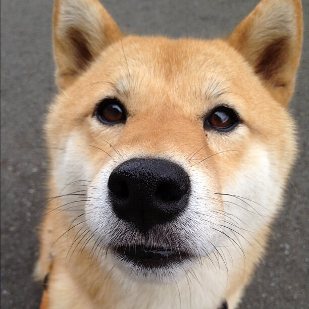 胜负悬念令人紧张,球员倾尽全力,胜负胜负