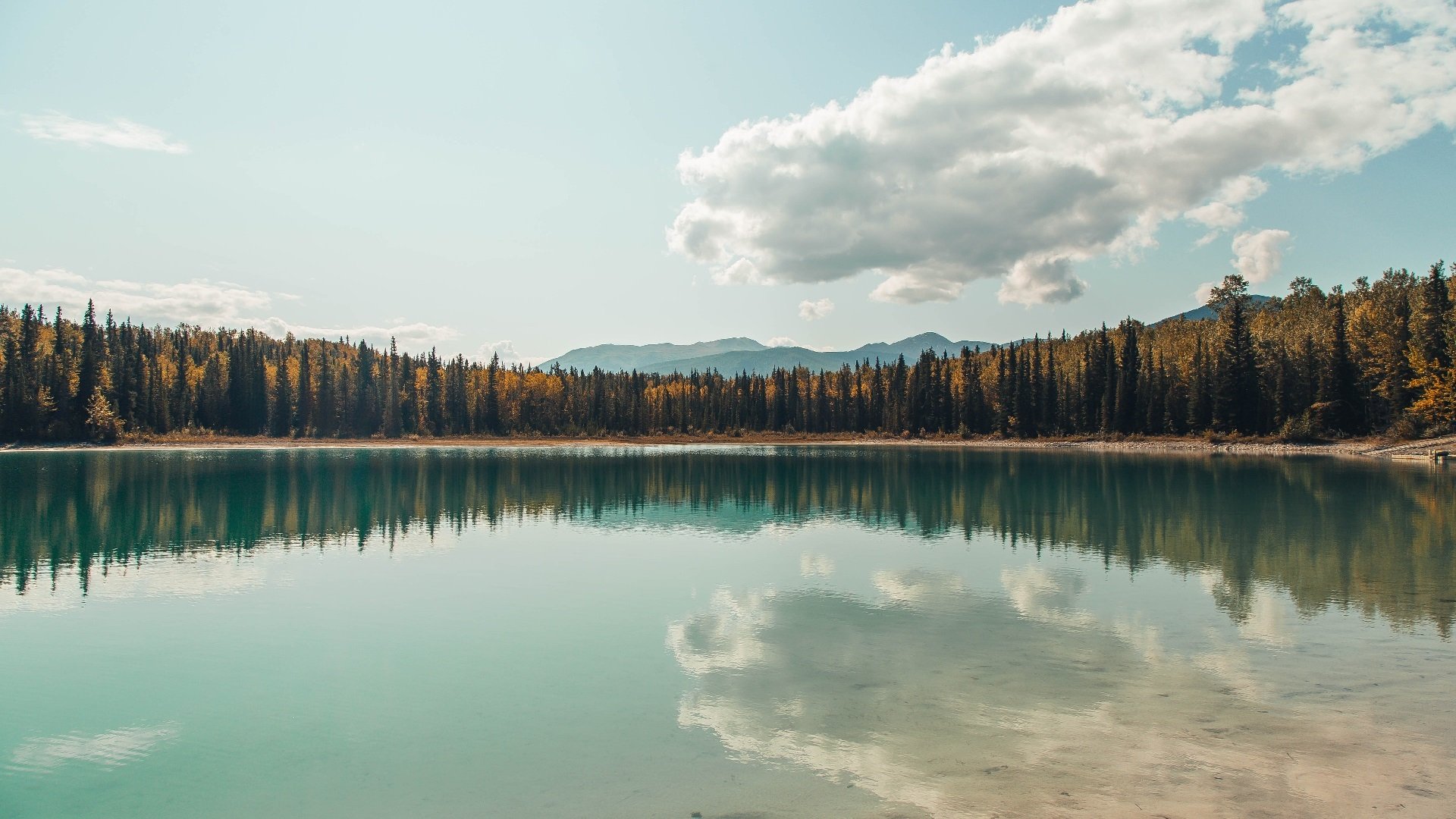 谢菲联门将神勇扑救，成为球队守望之星，谢菲联主帅