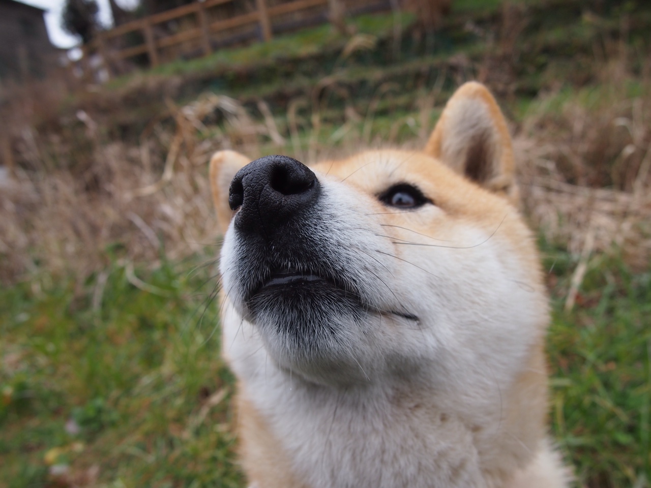 爱游戏体育平台-马竞主场逼平塞维利亚，错失登顶良机，马竞vs塞维利亚预测