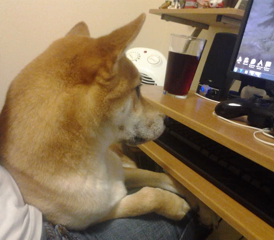 NBA球员训练负荷科学管理，nba球员训练力量方法