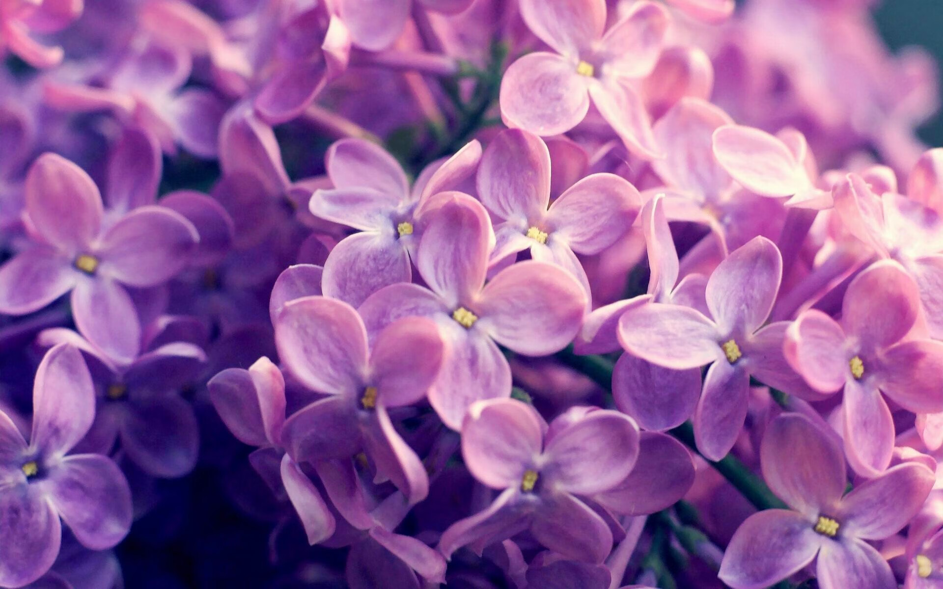 中国篮球教练员团队管理能力提升途径与实践方法，篮球教练团队组成