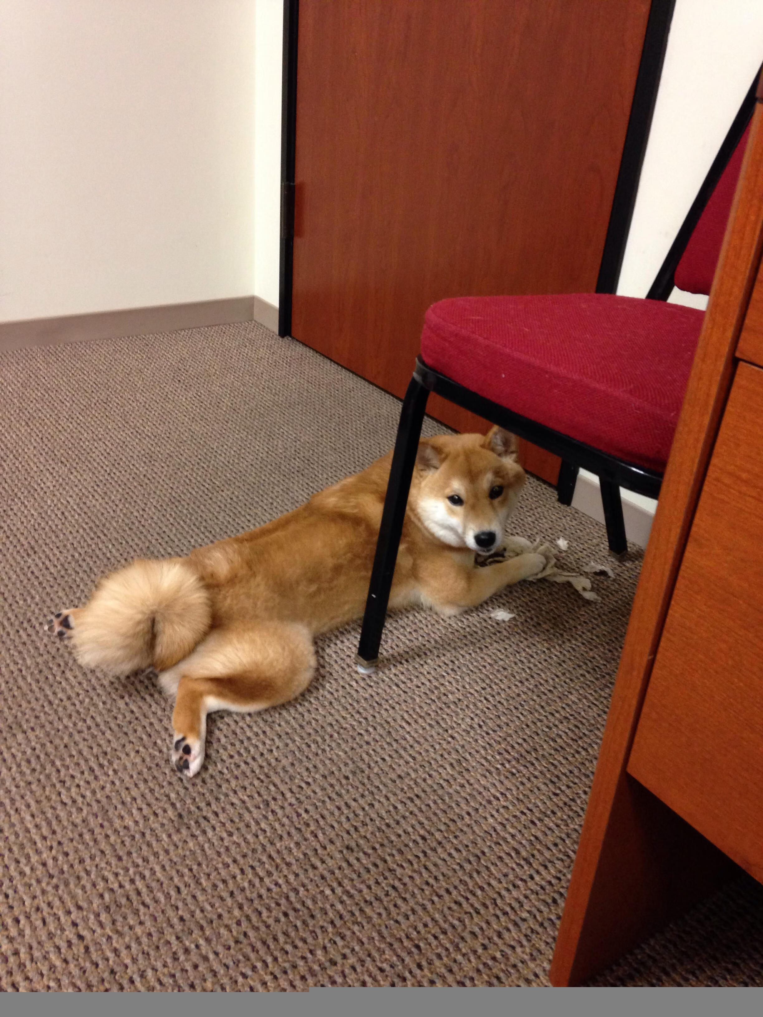 西甲防守转型后对中场拦截次数的影响研究,西甲收官战