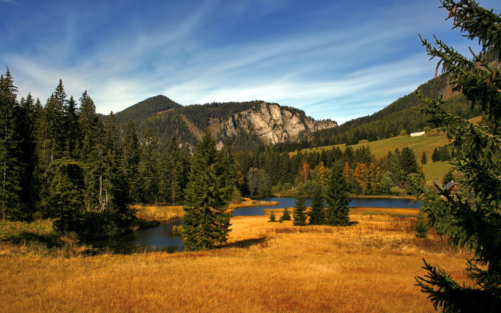 “世界武术冠军巅峰对决,高新体育中心剑拔弩张”