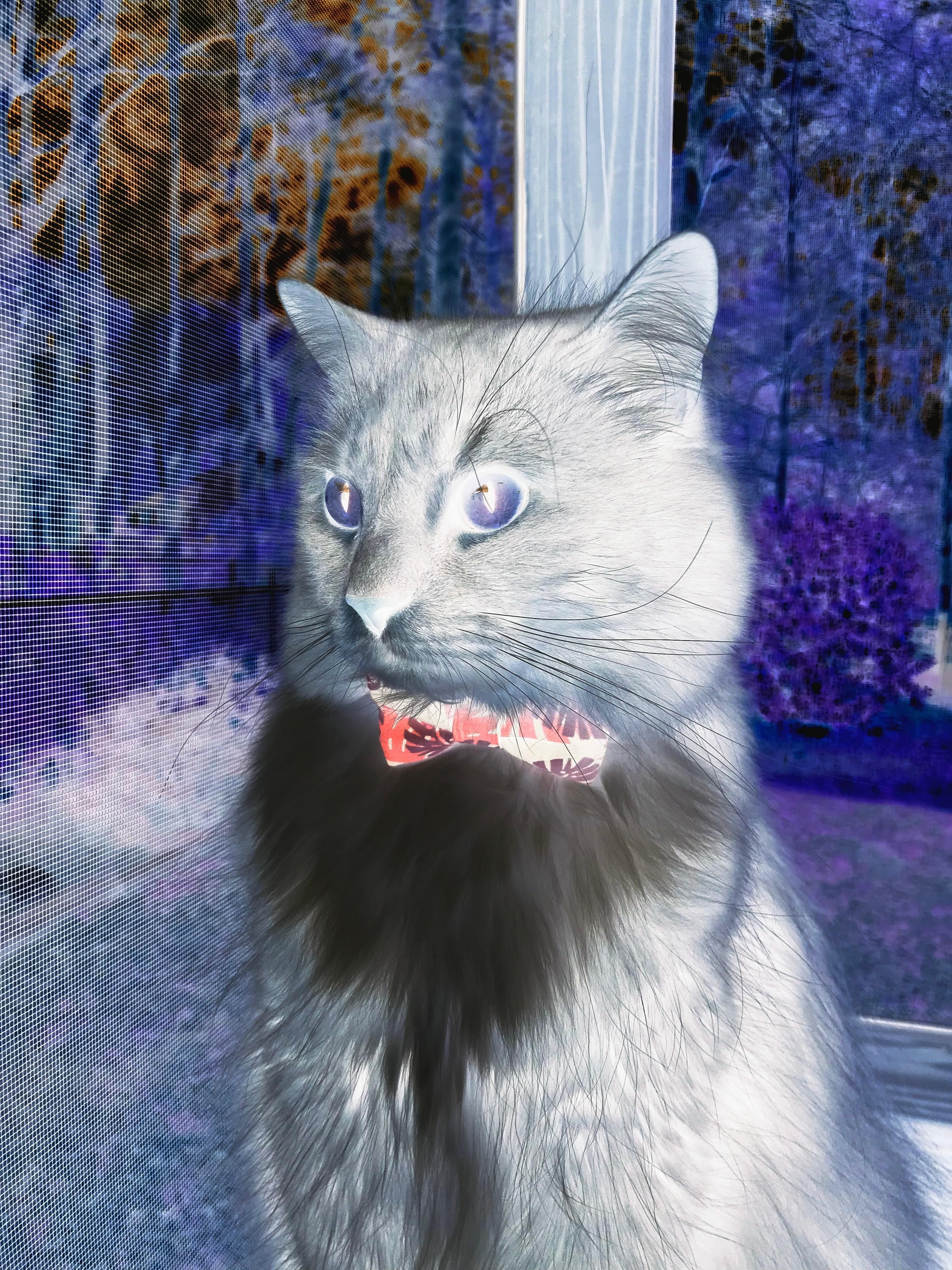 体育新闻中心推动体育赛事VR直播技术创新，vr体育的概念