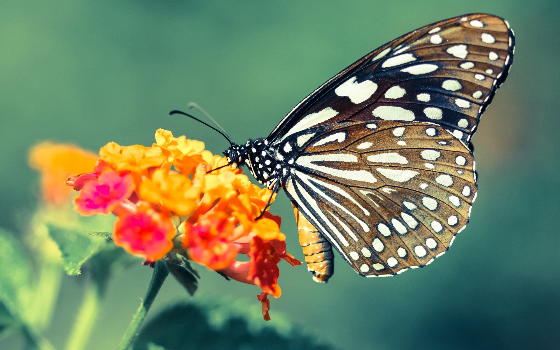爱游戏app-大学生田径联赛南区分站赛火热开赛，大学生田径比赛