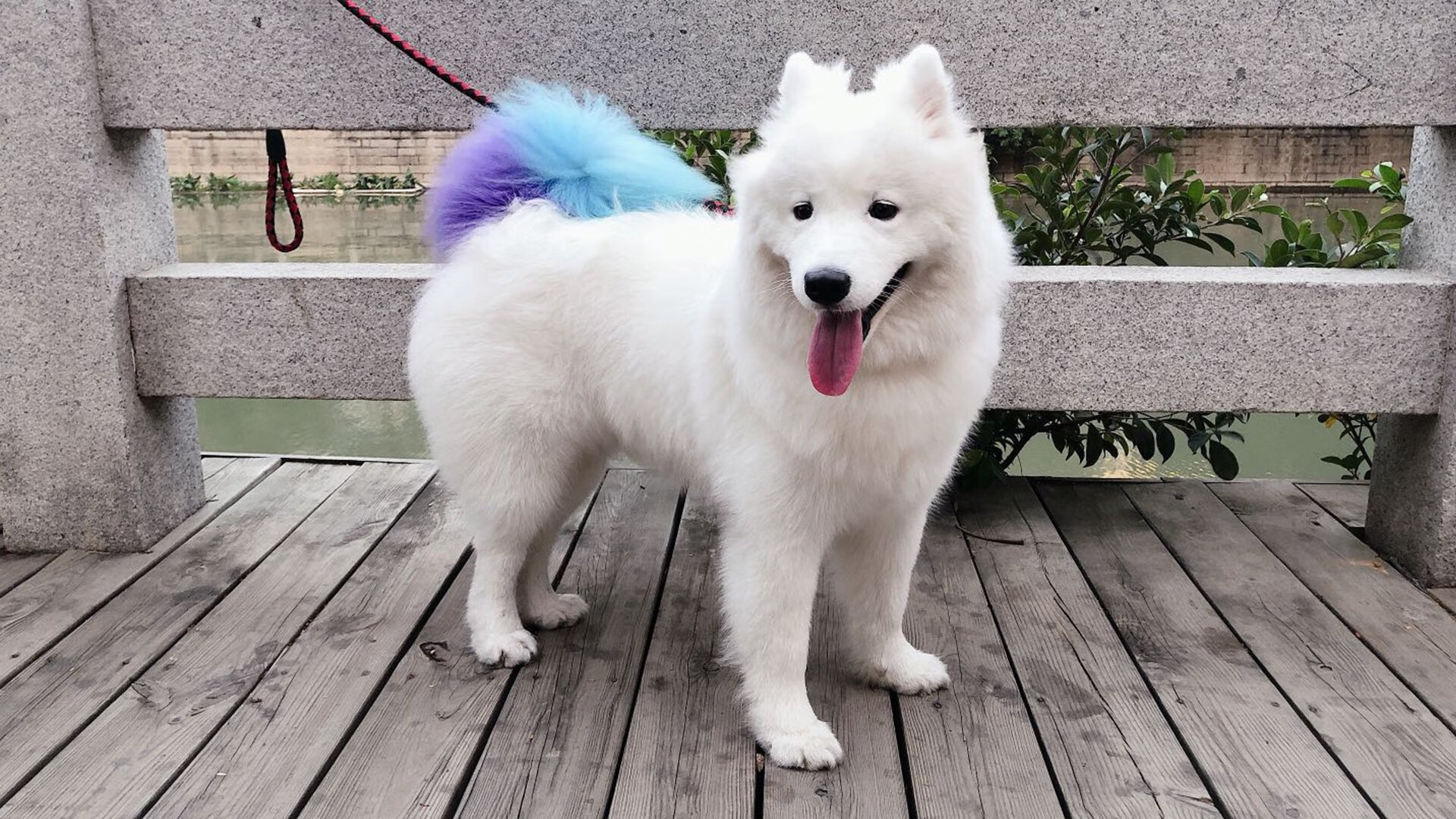 英超豪门争辉:每场比赛都堪比决赛,英超豪门多