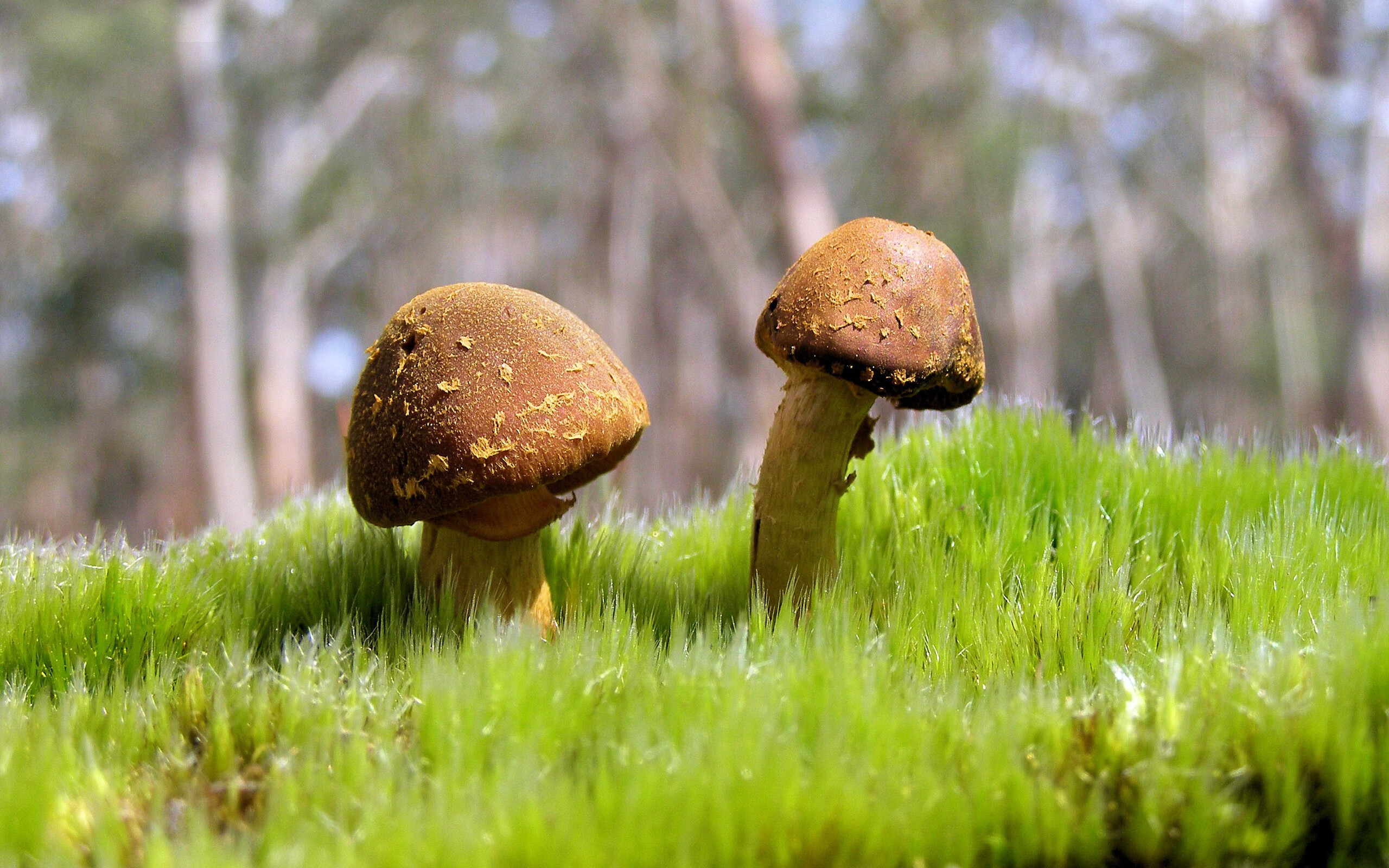 爱游戏官方网站-青训球员受邀参加海外赛事与国际对手切磋拓展视野，青训球员是什么意思